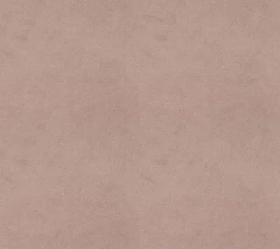 Alpha Nude swatch