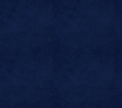 Alpha Navy swatch