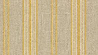 Stripes Volume 1 Backridge Stripe Buttercup swatch