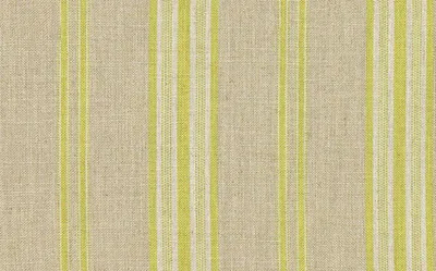 Stripes Volume 1 Backridge Stripe Citrus swatch