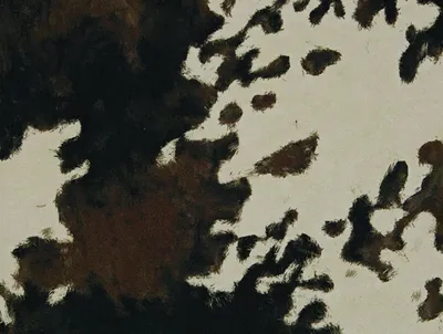 Animal Prints Cowhide swatch