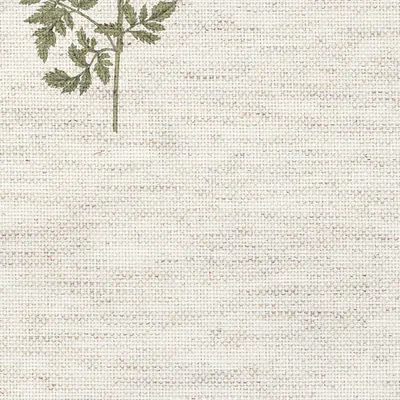 Bloom Britannia Cow Parsley swatch