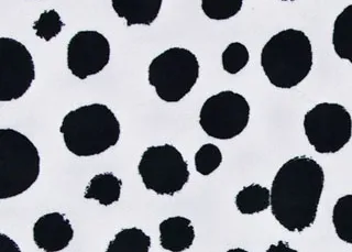 Blanc Noir Cruella swatch