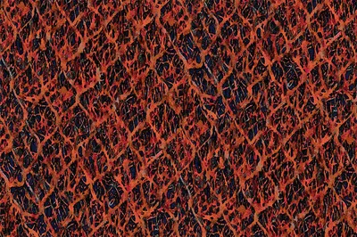 Contemporary Velvet Crystal Velvet Print Fire swatch
