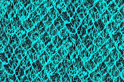 Contemporary Velvet Crystal Velvet Print Turquoise swatch