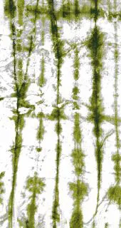 Minerals Vol 2 Design 6 Peridot swatch