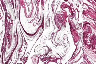 Minerals Vol 2 Design 9 Fuchsia swatch