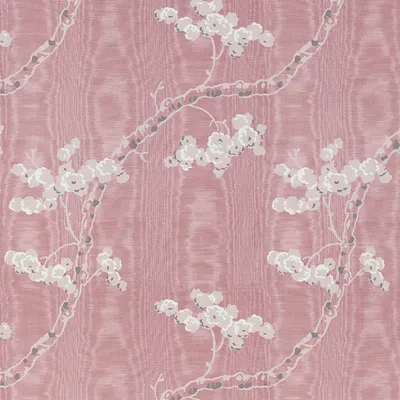 The Arthur Portfolio Dancing Alice Ashen Rose swatch