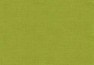 Downham Citrus Green swatch