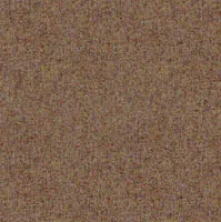 Wool Plains Elgar Damson swatch