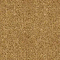 Wool Plains Elgar Straw swatch