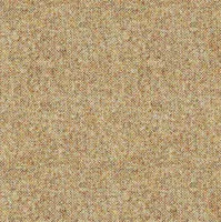 Wool Plains Elgar Barley swatch