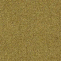 Wool Plains Elgar Cardamom swatch