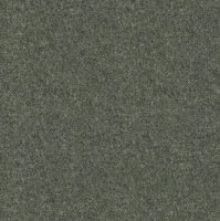 Wool Plains Elgar Lichen swatch