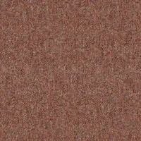 Wool Plains Elgar Rhubarb swatch