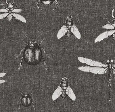 Voyage of Discovery Entomology Colour 8 swatch