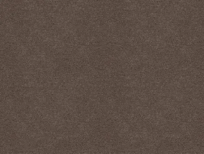 Erasmus Baby Mole swatch