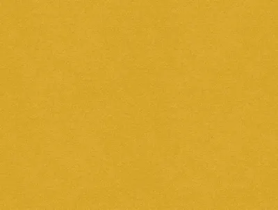 Erasmus Canary swatch