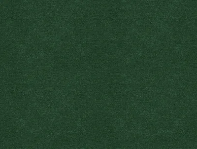 Erasmus Lincoln Green swatch