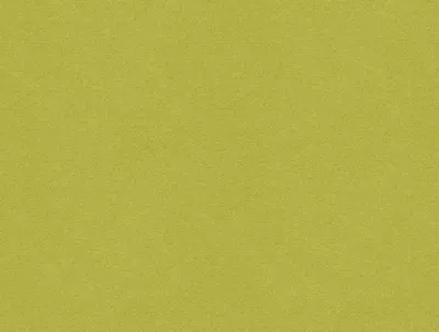 Erasmus Mojito swatch