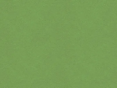 Erasmus Pea Shoot swatch