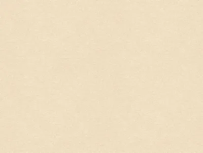 Erasmus Perfect Pearl swatch