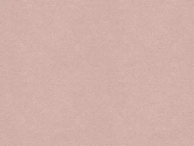Erasmus Whisper swatch