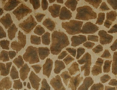 Animal Prints Giraffe swatch