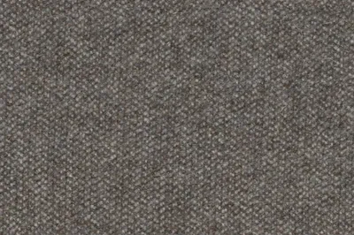 Herriot James Plain Nickel swatch