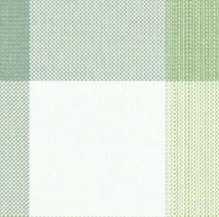 Maine Lincoln Colour 4 swatch
