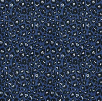 Voyage of Discovery Leopald Navy swatch