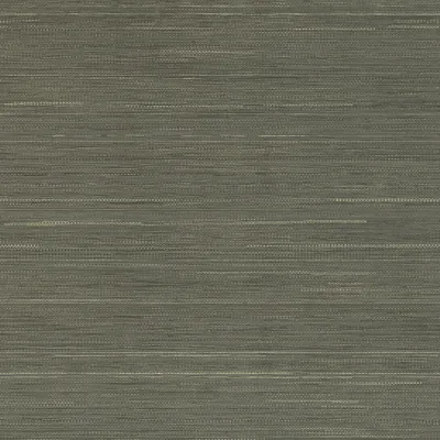Quattro Liscio Gargoyle swatch
