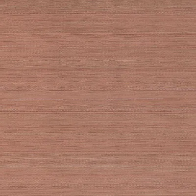 Quattro Liscio Shell swatch