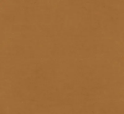 Luxor Velvet Cinnamon swatch