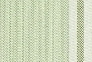Maine Madison Colour 4 swatch