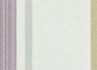 Maine Madison Colour 7 swatch