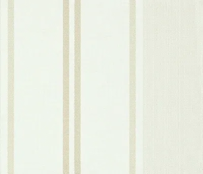 Maine Madison Colour 8 swatch
