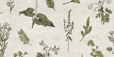 Bloom Britannia Monty Natural swatch