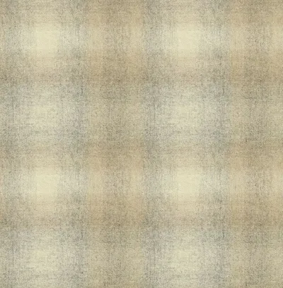 Ombre Check Snow Day swatch