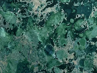 Faberge Ortensia Biscay swatch