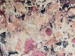 Faberge Ortensia Champagne Truffle swatch