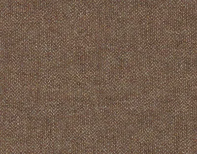Pendle Tweed Classic Chattox Plain Chestnut swatch