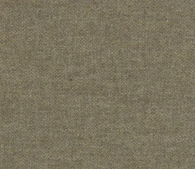 Pendle Tweed Classic Chattox Plain Fawn swatch
