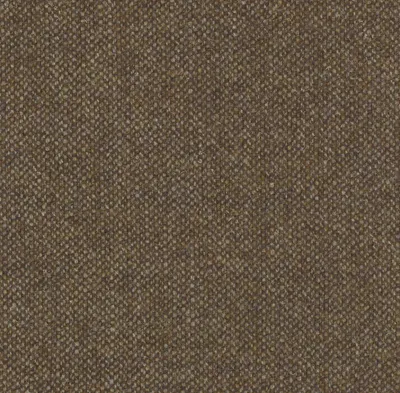 Pendle Tweed Classic Chattox Plain Hazel swatch