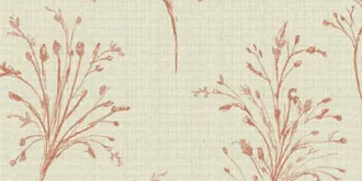 Ditsy's Sarah Coral swatch