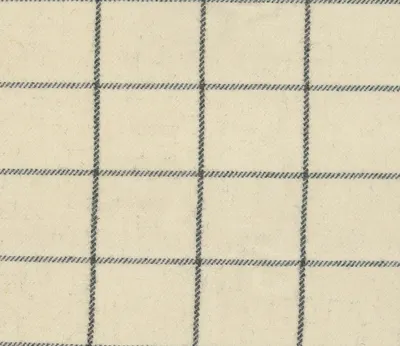 Herriot Siegfried Check Ivory swatch