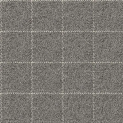 Herriot Siegfried Check Zinc swatch
