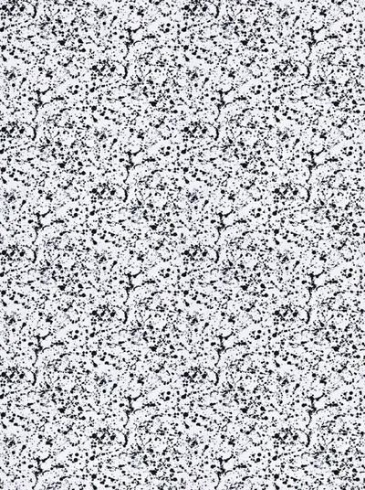 Blanc Noir Splat swatch