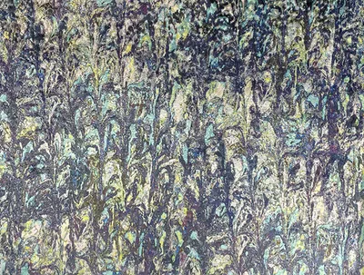 Bellagio VERONA swatch