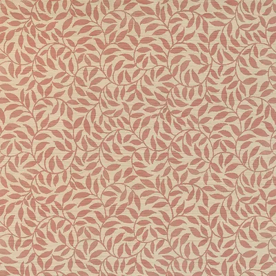 Quattro Vite Shell swatch